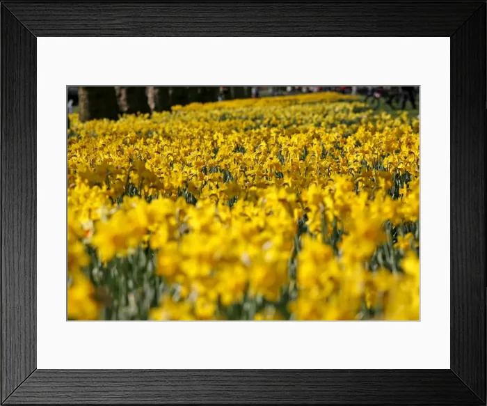 Framed Print : Picture No. 10921802 Framed Print : Picture No. 10921802