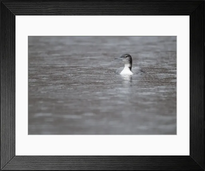 Framed Print : Picture No. 10921808 Framed Print : Picture No. 10921808