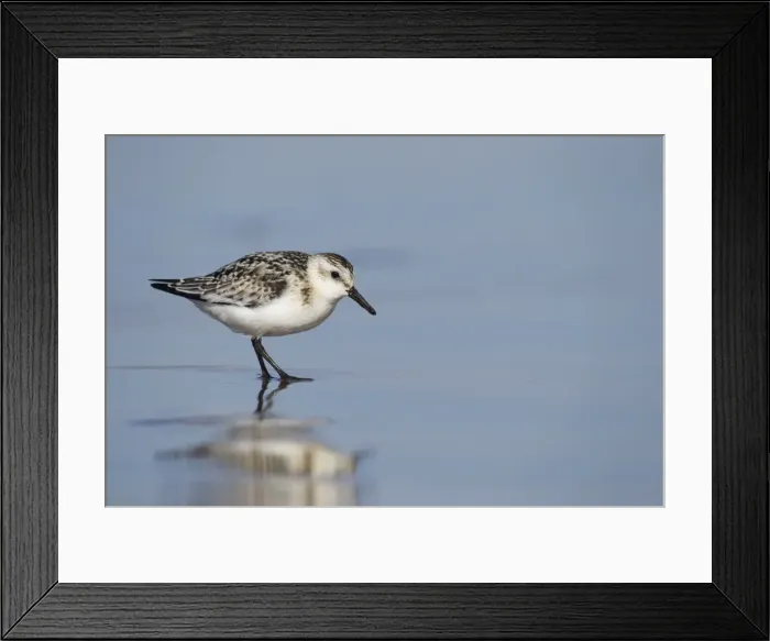 Framed Print : Picture No. 10921834 Framed Print : Picture No. 10921834
