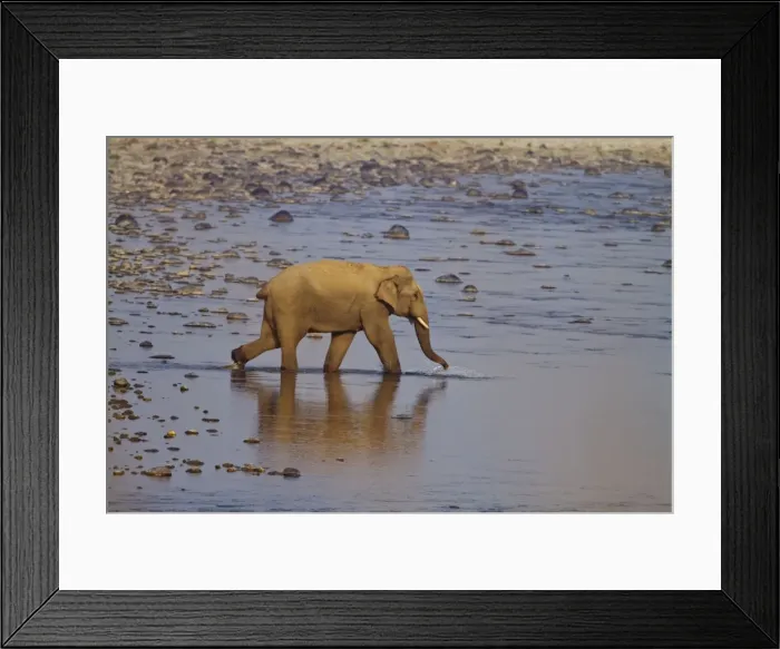 Framed Print : Picture No. 10921849