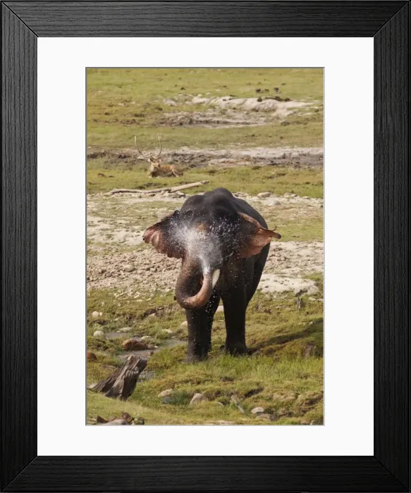 Framed Print : Picture No. 10921891 Framed Print : Picture No. 10921891