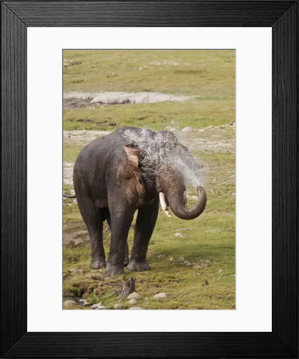 Framed Print : Picture No. 10921895 Framed Print : Picture No. 10921895