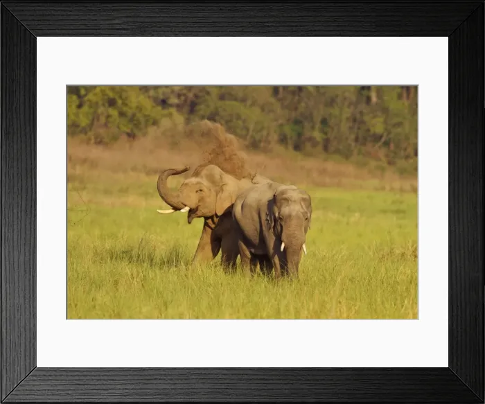 Framed Print : Picture No. 10921902 Framed Print : Picture No. 10921902