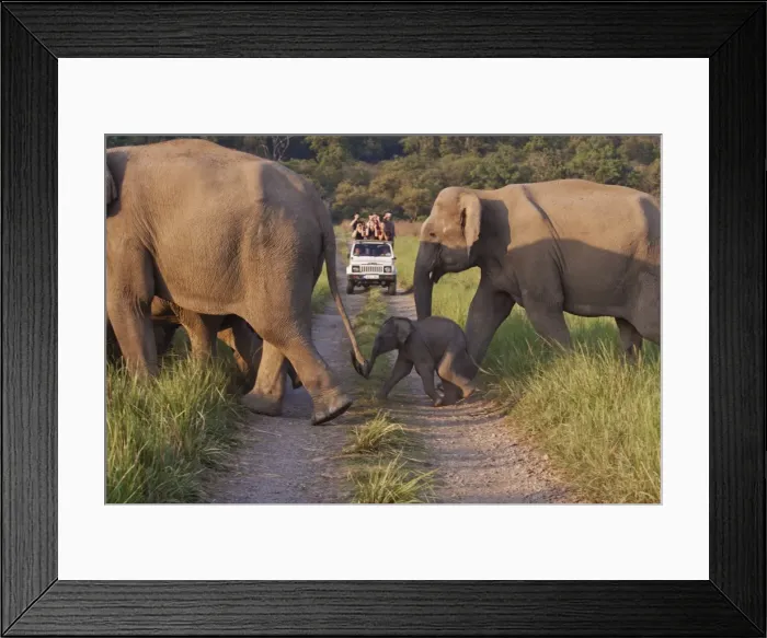 Framed Print : Picture No. 10921901 Framed Print : Picture No. 10921901