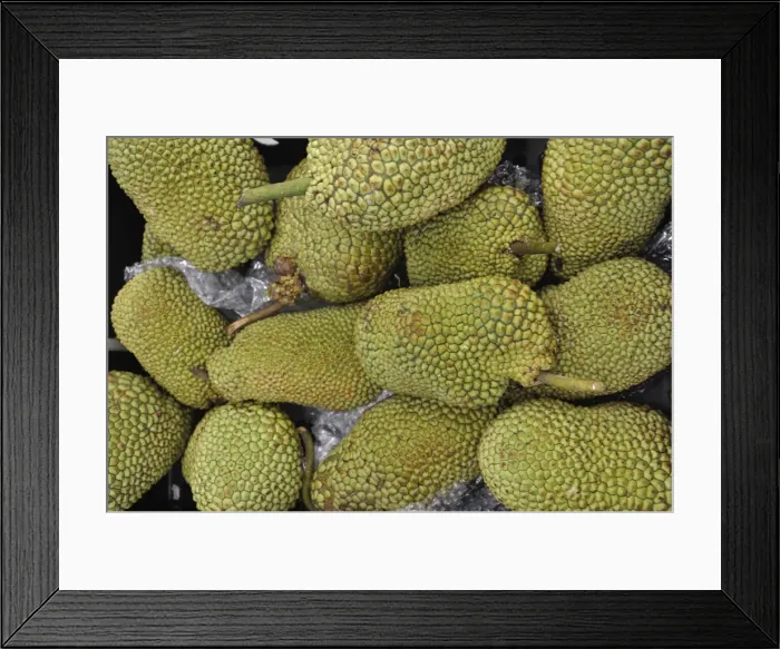 Framed Print : Picture No. 10922154 Framed Print : Picture No. 10922154