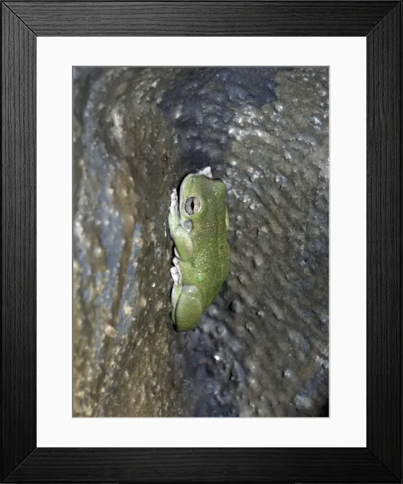 Framed Print : Picture No. 10922160