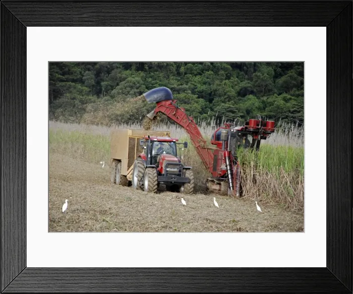 Framed Print : Picture No. 10922157 Framed Print : Picture No. 10922157