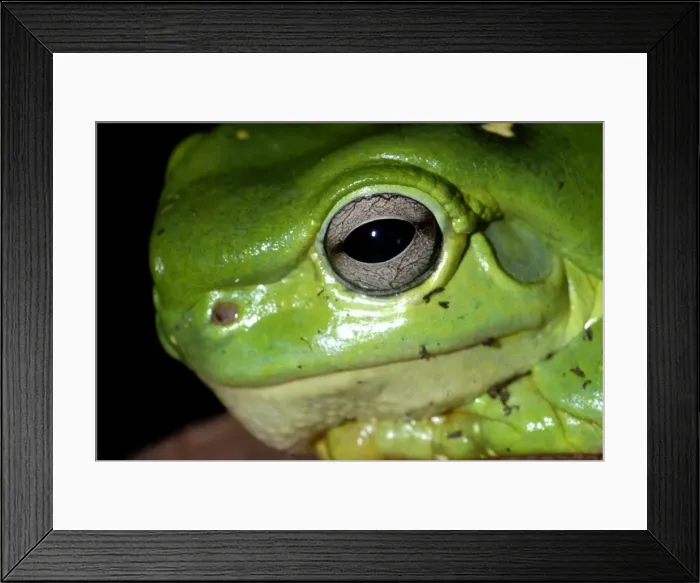 Framed Print : Picture No. 10922165 Framed Print : Picture No. 10922165