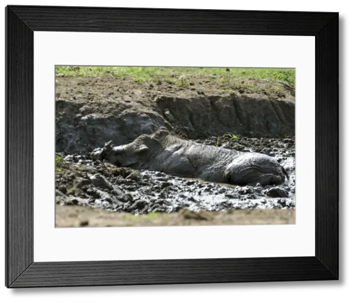 Framed Print : Picture No. 10922158 Framed Print : Picture No. 10922158