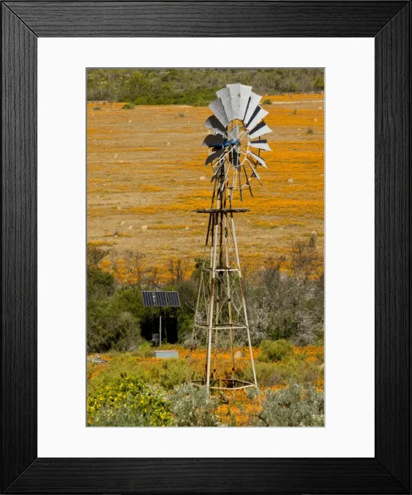 Framed Print : Picture No. 10922171 Framed Print : Picture No. 10922171