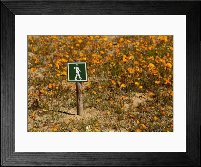 Framed Print : Picture No. 10922172 Framed Print : Picture No. 10922172