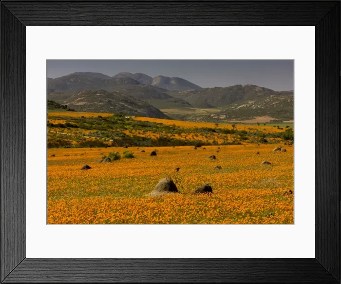 Framed Print : Picture No. 10922175 Framed Print : Picture No. 10922175