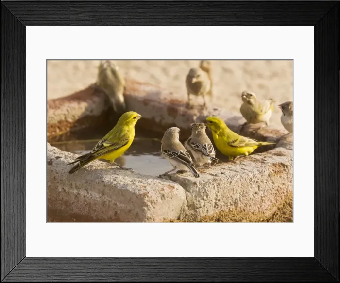 Framed Print : Picture No. 10922223 Framed Print : Picture No. 10922223