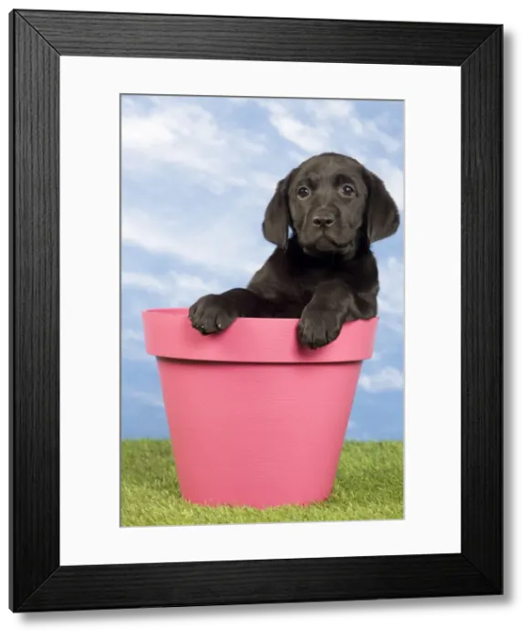 Framed Print : Picture No. 10922369 Framed Print : Picture No. 10922369