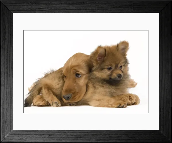 Framed Print : Picture No. 10922394 Framed Print : Picture No. 10922394
