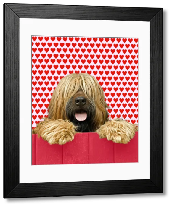 Framed Print : Picture No. 10922416 Framed Print : Picture No. 10922416