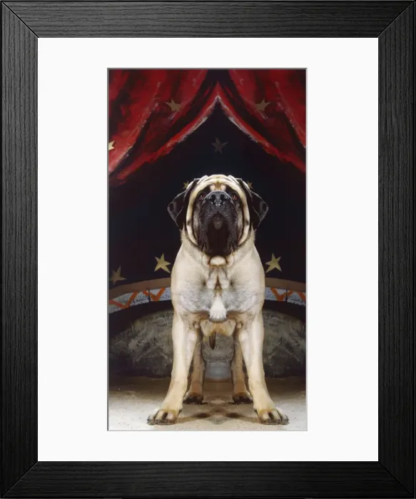 Framed Print : Picture No. 10922428