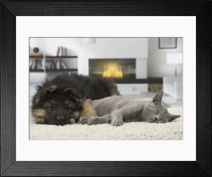 Framed Print : Picture No. 10922470