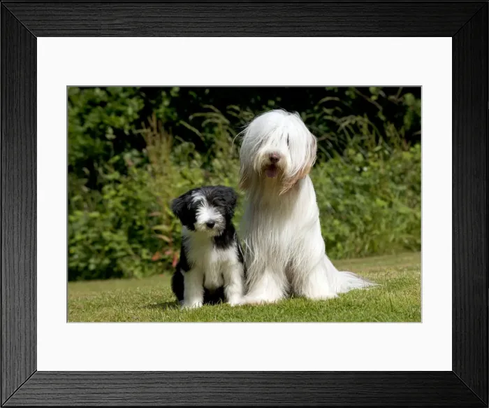 Framed Print : Picture No. 10922545 Framed Print : Picture No. 10922545