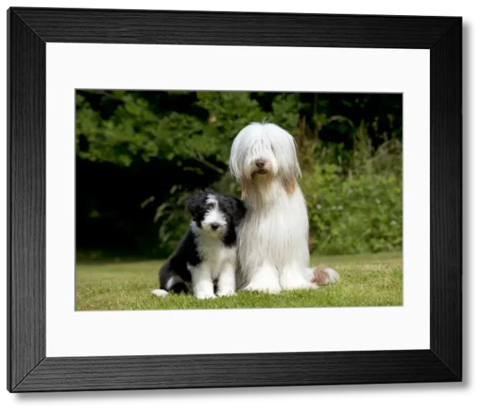 Framed Print : Picture No. 10922544 Framed Print : Picture No. 10922544
