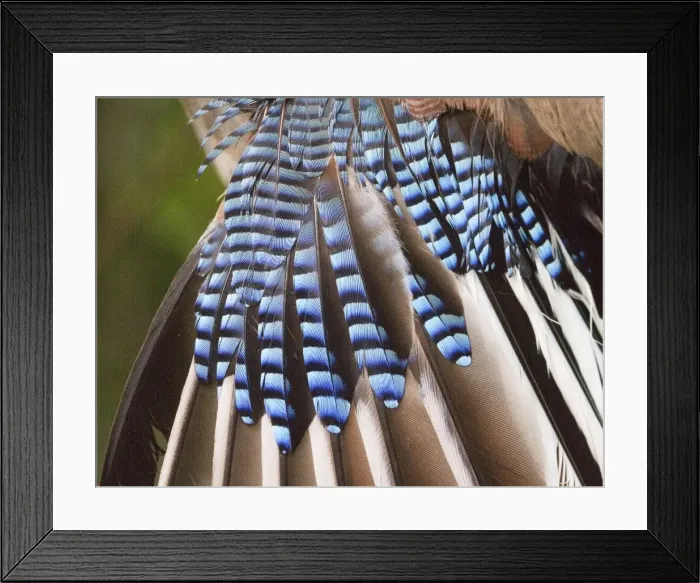 Framed Print : Picture No. 10922570 Framed Print : Picture No. 10922570