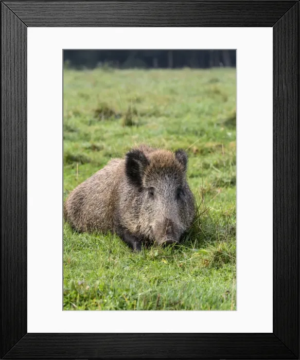 Framed Print : Picture No. 10922582 Framed Print : Picture No. 10922582