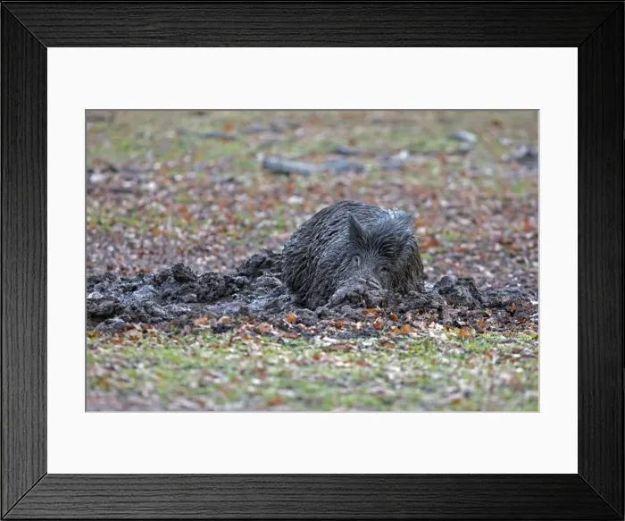 Framed Print : Picture No. 10922621 Framed Print : Picture No. 10922621