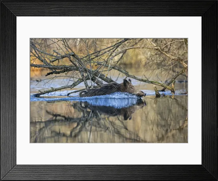 Framed Print : Picture No. 10922631 Framed Print : Picture No. 10922631