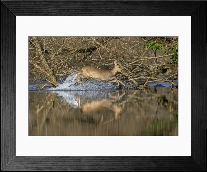 Framed Print : Picture No. 10922630 Framed Print : Picture No. 10922630