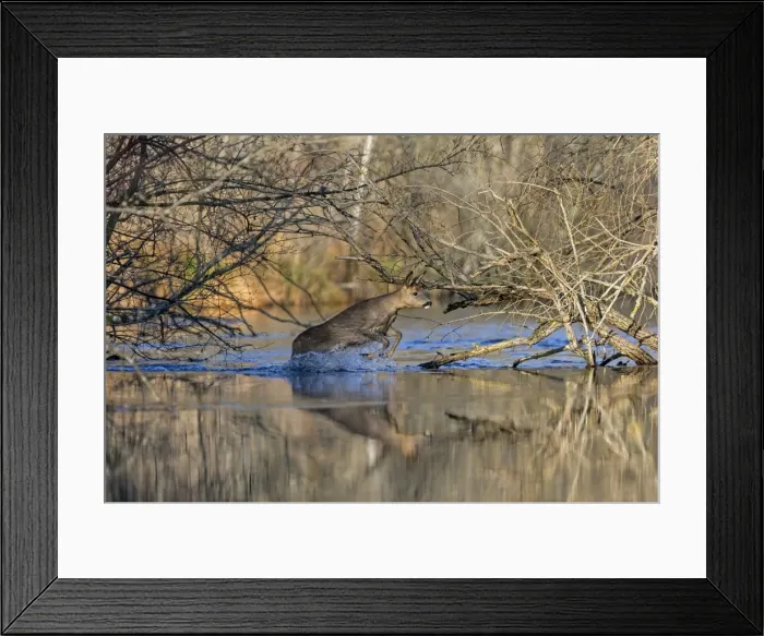 Framed Print : Picture No. 10922629 Framed Print : Picture No. 10922629
