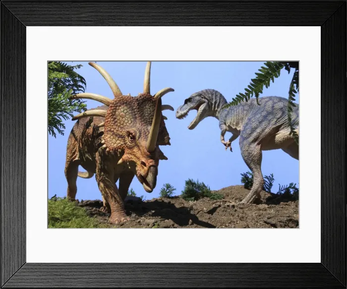 Framed Print : Picture No. 10922655 Framed Print : Picture No. 10922655