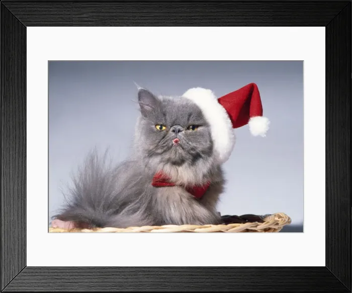 Framed Print : Picture No. 10946806 Framed Print : Picture No. 10946806