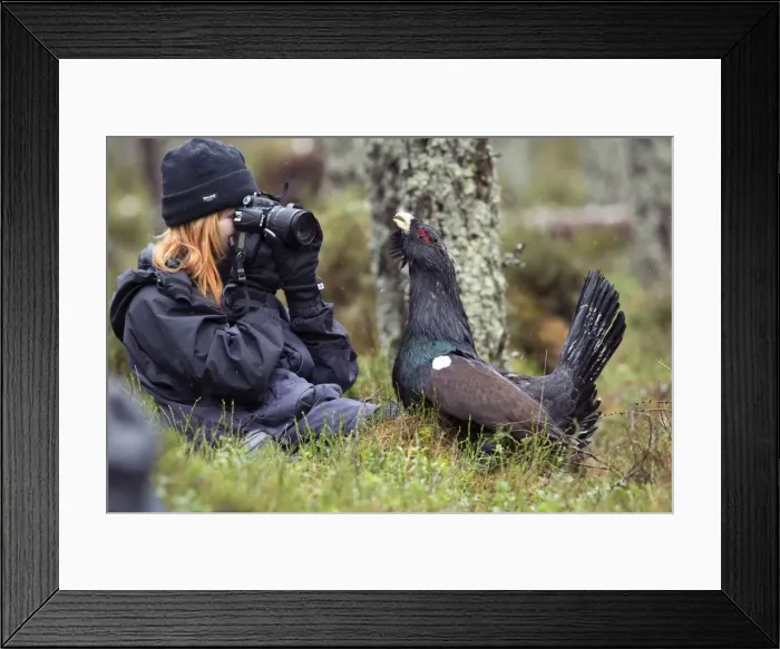 Framed Print : Picture No. 10946889 Framed Print : Picture No. 10946889