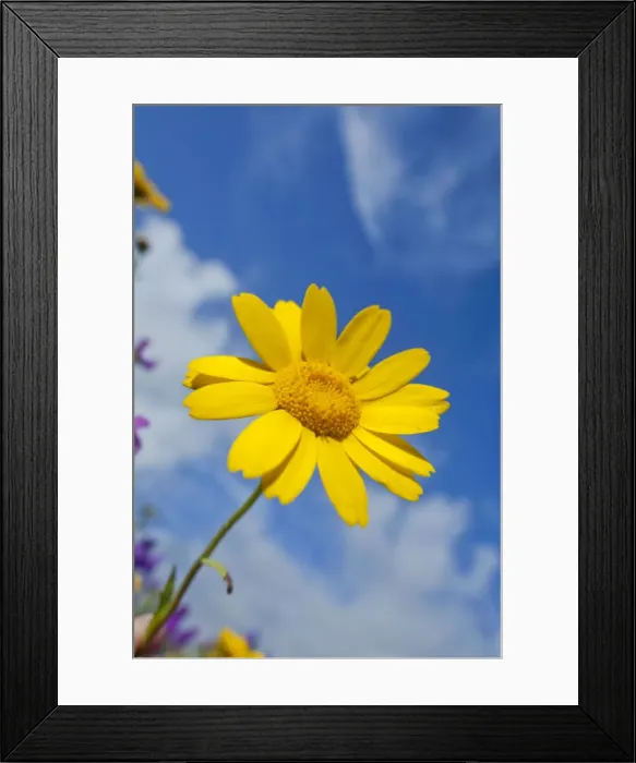 Framed Print : Picture No. 10946898 Framed Print : Picture No. 10946898