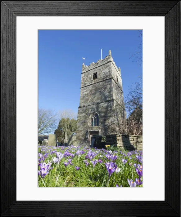 Framed Print : Picture No. 10946904 Framed Print : Picture No. 10946904