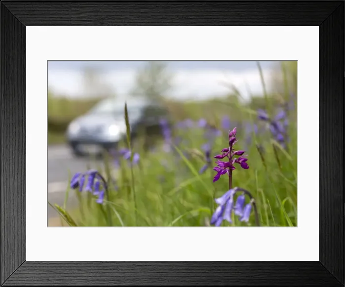 Framed Print : Picture No. 10946914 Framed Print : Picture No. 10946914