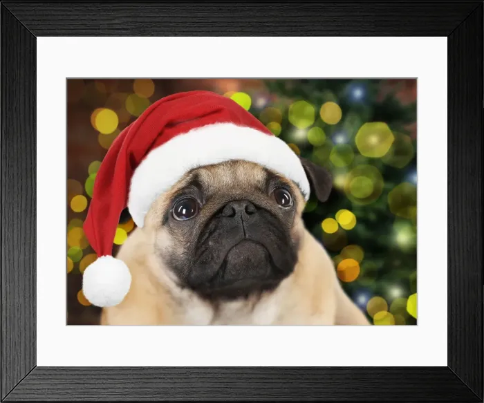 Framed Print : Picture No. 10946959 Framed Print : Picture No. 10946959