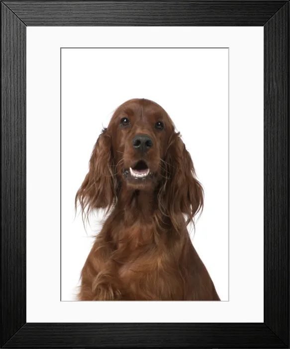 Framed Print : Picture No. 10946978 Framed Print : Picture No. 10946978