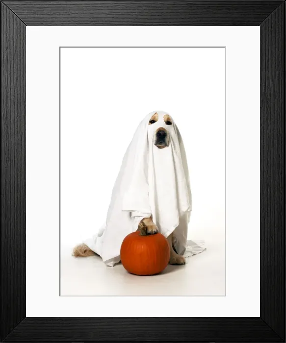 Framed Print : Picture No. 10946996 Framed Print : Picture No. 10946996
