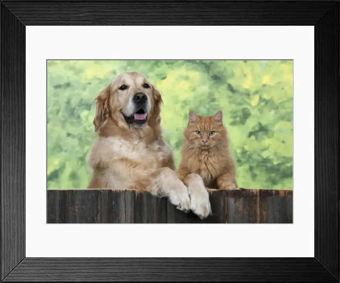 Framed Print : Picture No. 10946995 Framed Print : Picture No. 10946995