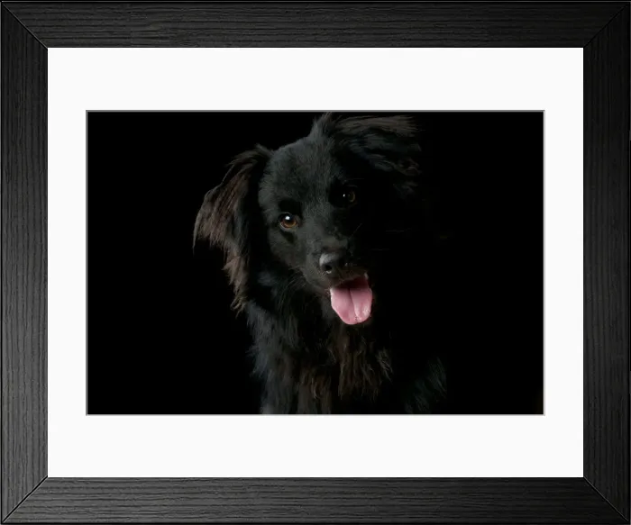 Framed Print : Picture No. 10947000