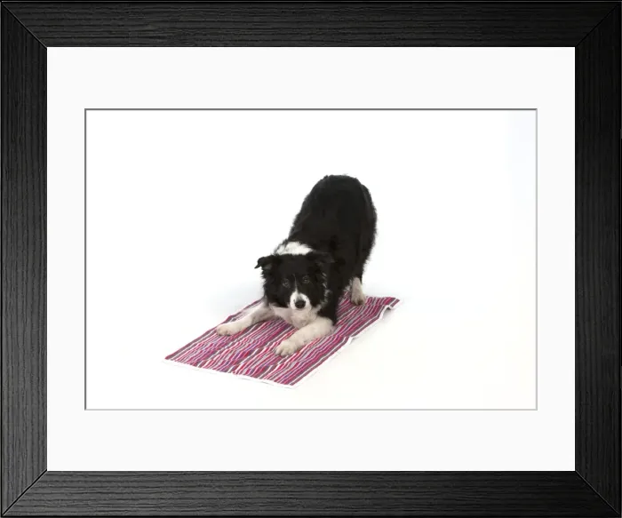 Framed Print : Picture No. 10946998 Framed Print : Picture No. 10946998