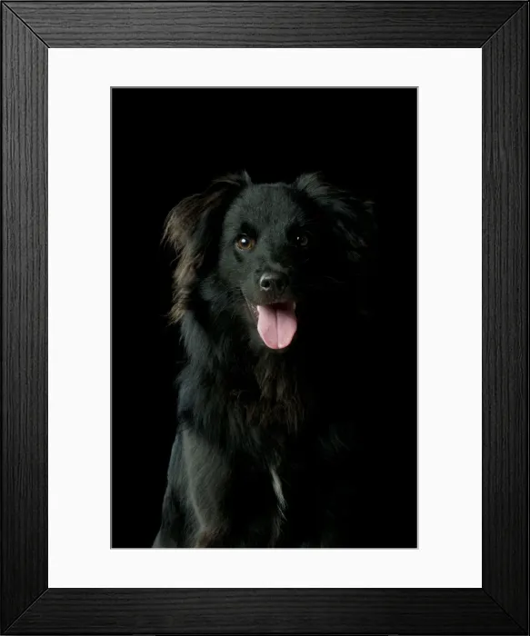 Framed Print : Picture No. 10946999 Framed Print : Picture No. 10946999
