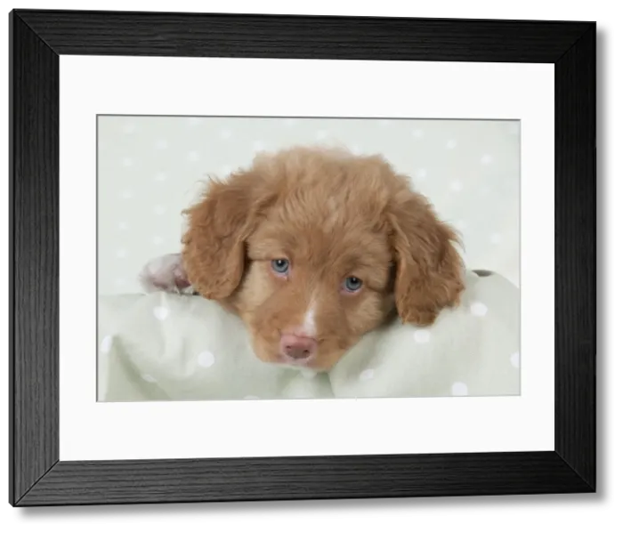 Framed Print : Picture No. 10947008 Framed Print : Picture No. 10947008