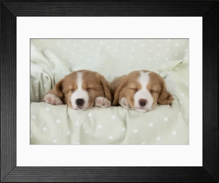 Framed Print : Picture No. 10947006 Framed Print : Picture No. 10947006