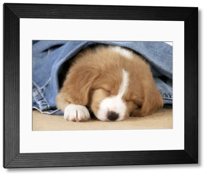 Framed Print : Picture No. 10947010 Framed Print : Picture No. 10947010