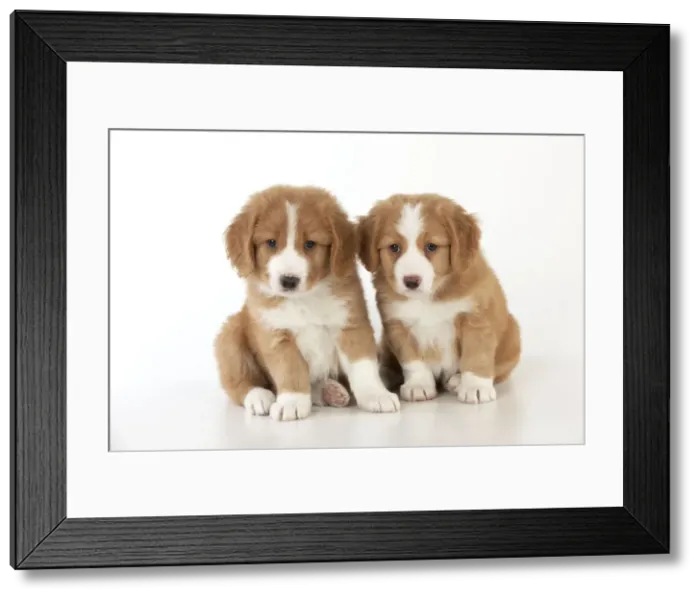 Framed Print : Picture No. 10947019 Framed Print : Picture No. 10947019