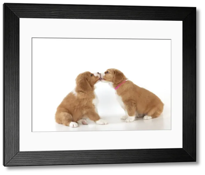 Framed Print : Picture No. 10947018 Framed Print : Picture No. 10947018