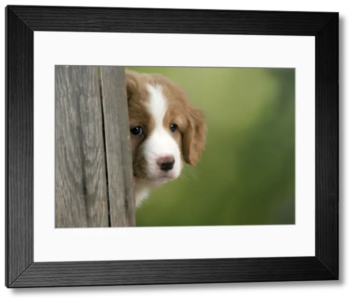 Framed Print : Picture No. 10947024 Framed Print : Picture No. 10947024