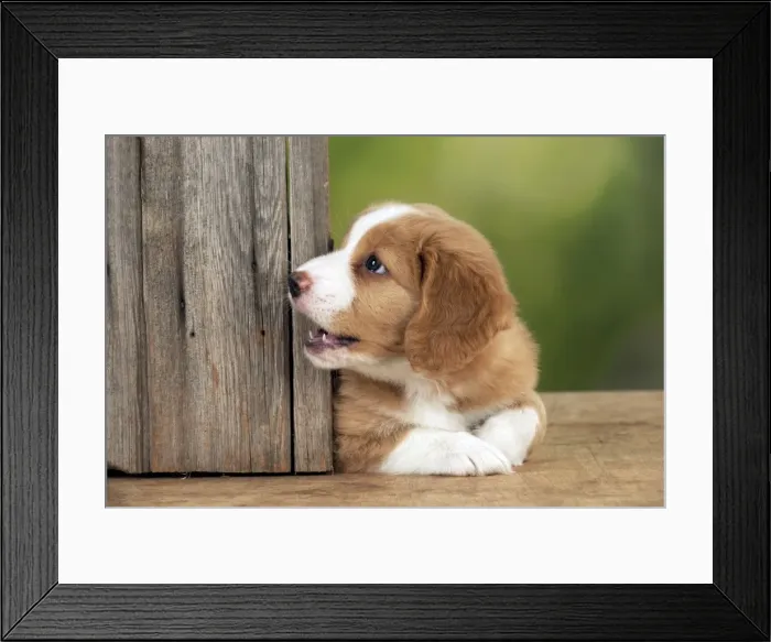 Framed Print : Picture No. 10947027 Framed Print : Picture No. 10947027